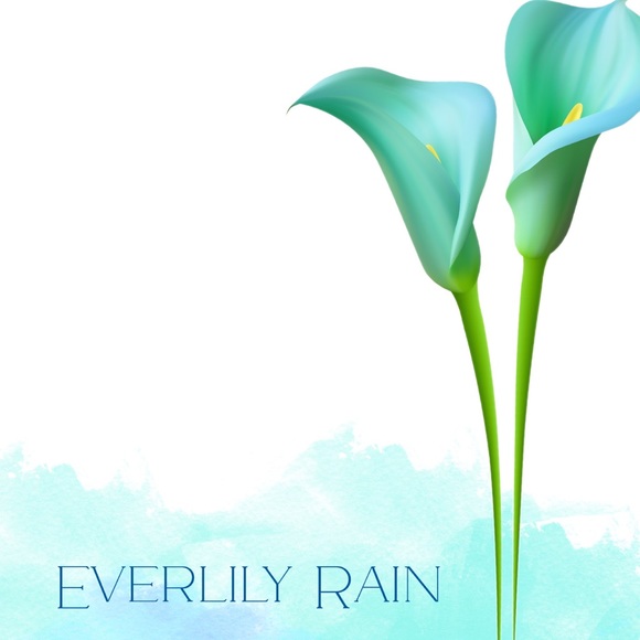 Everlily Rain Dresses & Skirts - RELISTED